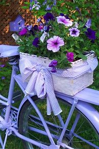 Image result for Bike with Flower Basket