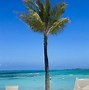 Image result for Bahamas All Inclusive Resorts Adults