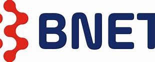 Image result for Bnet HD Logo