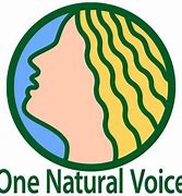 Image result for Voice Recognition Logo
