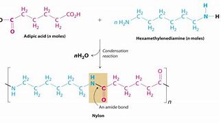 Image result for Nylon 11 Structure