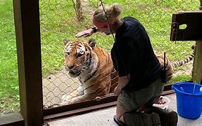 Image result for Zookeeper and Animals