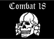 Image result for combat_18