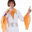 Image result for Abba Dancing Queen Costume
