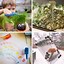 Image result for Science for Toddlers Ideas