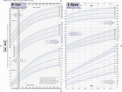 Image result for Height Conversion Chart for Kids