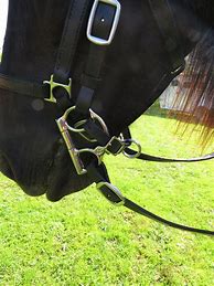 Image result for Gaited Horse Bits and Bridles