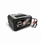 Image result for Automatic Car Battery Charger