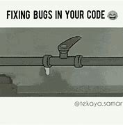 Image result for Fix Bug Award Meme