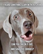 Image result for Dog Scared of the Phone Meme
