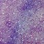 Image result for Iridescent Glitter Texture