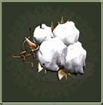 Image result for Cotton Industry