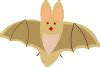 Image result for Bat Cartoon Png