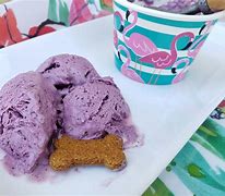 Image result for Crazy Crumble Dog Ice Cream