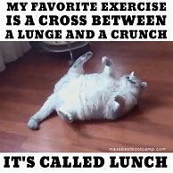 Image result for Cat Exercise Meme