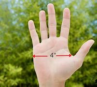 Image result for How Long Is 4 Inches