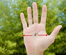 Image result for 4 Inches in Hand