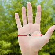 Image result for How Long Is 4 Inches