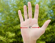 Image result for Things That Are Four Inches Long