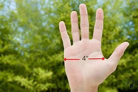 Image result for What Does 4 Inches Look Like