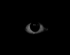 Image result for Wolfinstin Glowing Eyes GIF