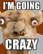 Image result for People Be Crazy Meme