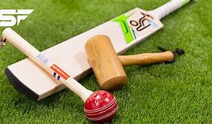 Image result for Glues for Cricket