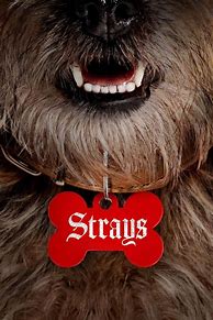 Image result for Strays Movie Poster