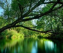 Image result for iPhone 6 Nature Wallpaper