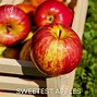 Image result for Us Grade a Number 1 Red Delicious Apple