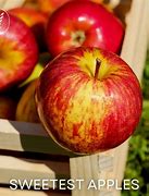Image result for The Sweetest Apple Australia