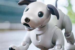 Image result for Aibo Robot Dog Attachments