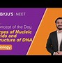 Image result for Chemical Structure of DNA
