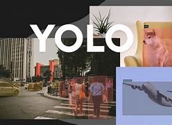 Image result for Yolo Object