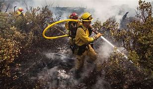 Image result for National Park Fire Firefighter