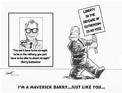 Image result for Maverick Cartoon