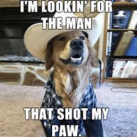 Image result for Funny Dog Humor