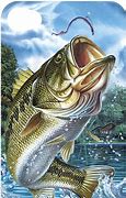 Image result for iPhone 6s Fish Wallpaper