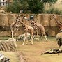 Image result for Zoo Place