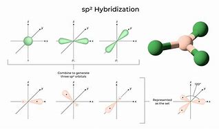 Image result for SP2 Hybridization Geometry