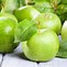 Image result for Images of Green Apple's
