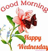 Image result for Happy Wednesday Butterflies