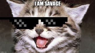 Image result for Savage Cat Quotes