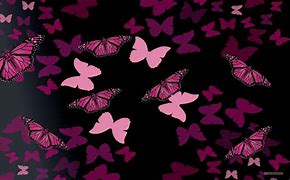 Image result for Dark Pink Butterfly Wallpaper