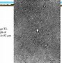 Image result for Cell Chromosome DNA