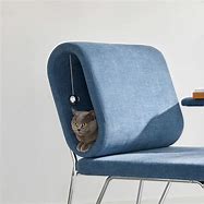 Image result for Cat in Lounge Chair