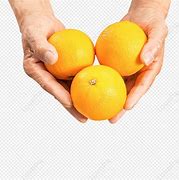 Image result for Hand Hlding Fruit