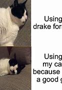 Image result for Cat Drake Meme Template