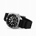 Image result for Seiko Dive Watches
