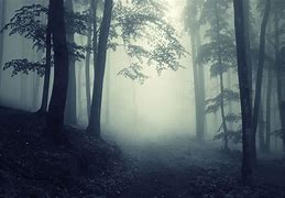 Image result for Scary Tree Background